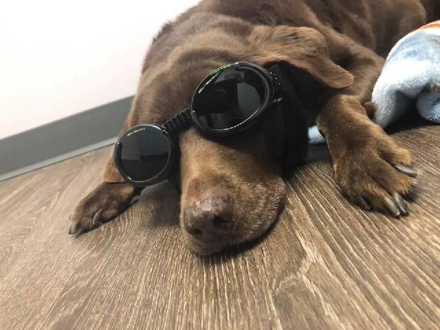 Laser Therapy is relaxing